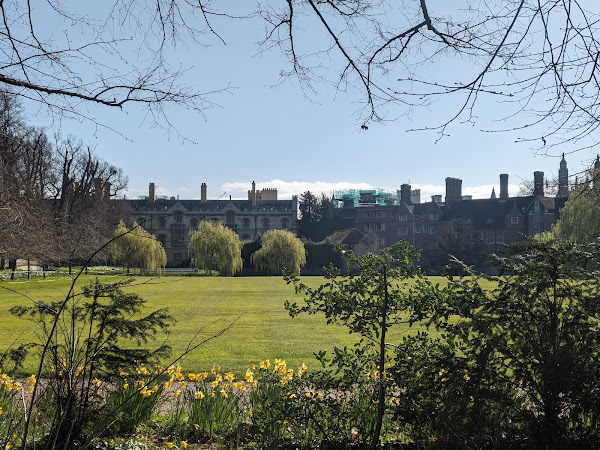 Trinity College from the back