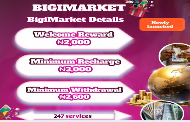 Bigimarket.shop review (is bigimarket.shop legit, paying or scam)