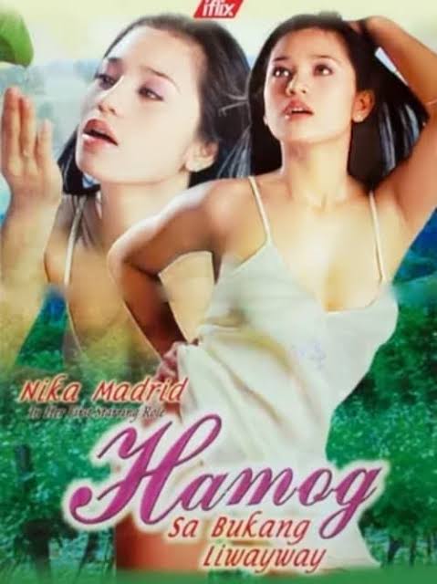 HAMOG SA BUKANG LIWAYWAY (2004)