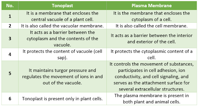 difference between tonoplast and plasma membrane