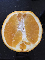 navel orange