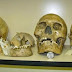 Ψέμα: Το Smithsonian παραδέχεται την καταστροφή σκελετών γιγάντων