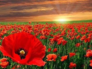 LEST WE FORGET - SERVICE OF REMEMBRANCE ONLINE [MARCH service normally held in Peyia Car park] - 8 November