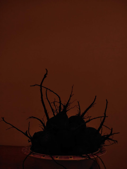 A low light picture of homegrown beets in a plastic bowl