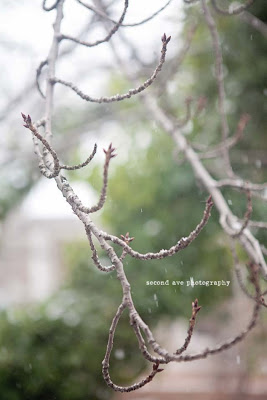 project 52, empty, snow, Virginia photographer, canon