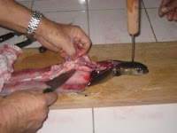 Ikan Sidat atau Sogili, Makanan Mewah Nan Mahal