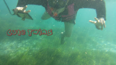 Pengalaman snorkeling di pulau tabuhan banyuwangi