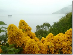loch ness and broom
