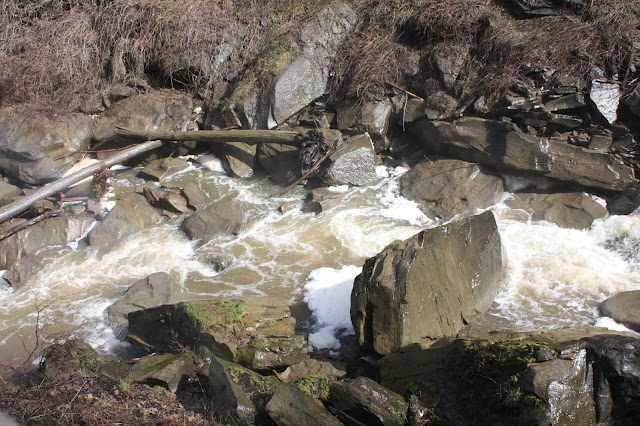 A peek into the canyon with the river down below in Cuyahoga Valley National Park.