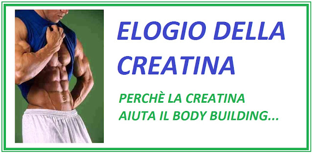 ELOGIO DELLA CREATINA: perchè la creatina aiuta il body-building