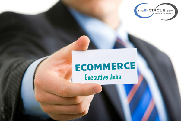 E-commerce Executive Jobs In Nangloi, Delhi