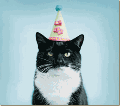 birthday_cat