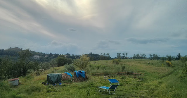 The meditation fields