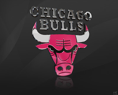 chicago bulls wallpaper 2009. chicago bulls wallpaper hd.