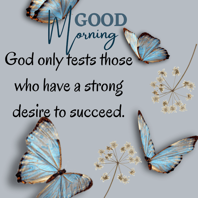succeed, 101+Morning Messages| Good Morning Wishes| Good Morning Inspirational thoughts.
