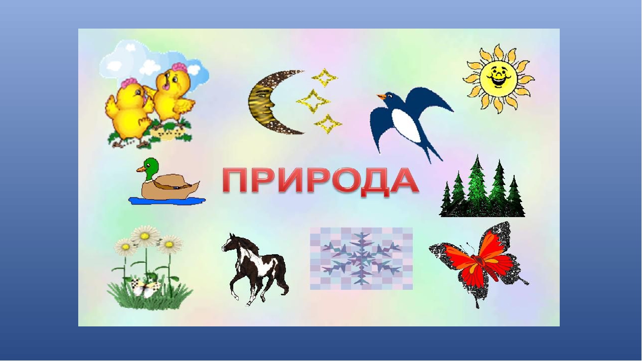 Проект живое неживое. Живая и неживая природа. Живая природа презентация. Что такое природа 2 класс. Живая природа окружающий мир.