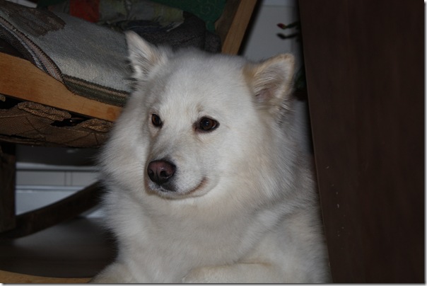 CHARLIE 003