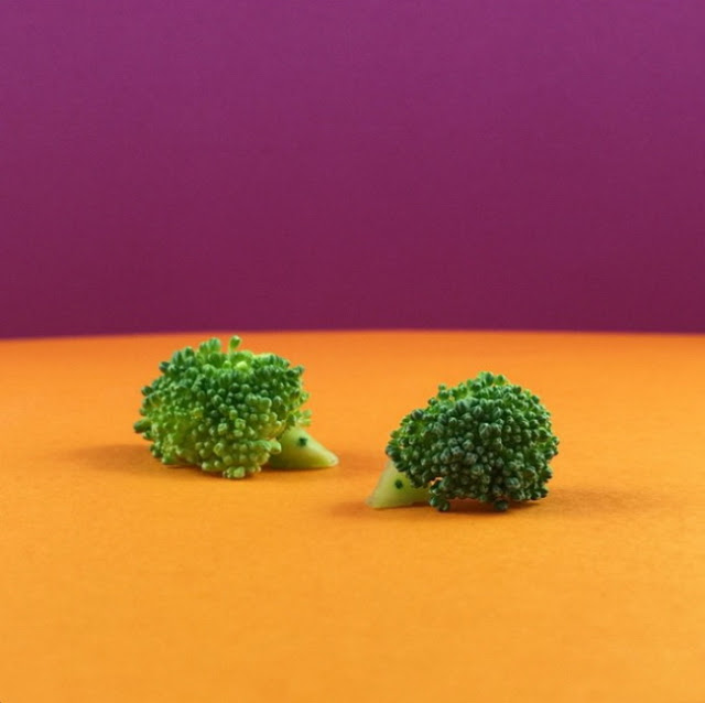 Mundane Matters food art