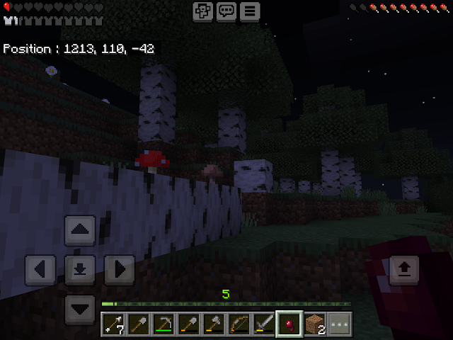 Capture d'écran Minecraft