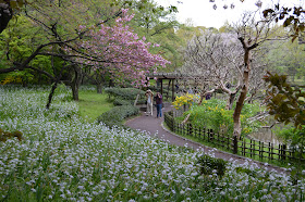 Variety of flora in East Garden, Tokyo Imperial Palace