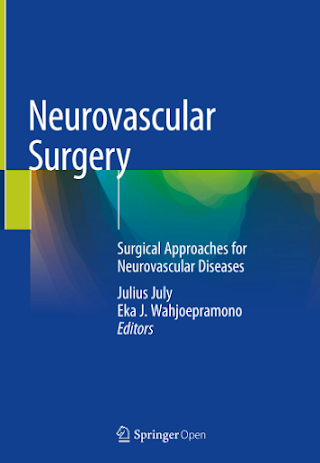  Neurovascular Surgery Surgical Approaches for Neurovascular Diseases Pdf 