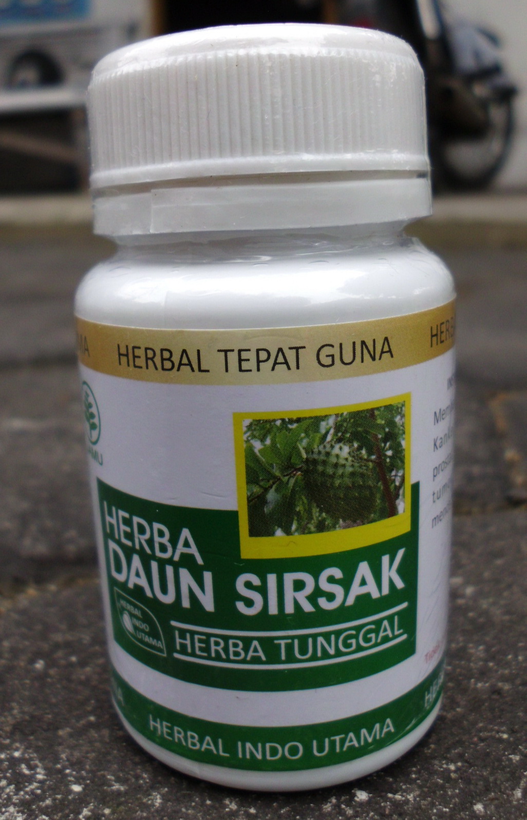 Herba Daun  Sirsak  toko herbal yogyakarta