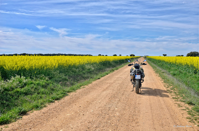 BMW F800GS adventure. Trail Forever por el planeta rojo