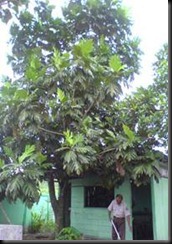 clip_image005