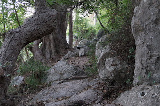 Rocky terrain common across Garner State Park