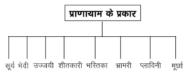 प्राणायाम के प्रकार