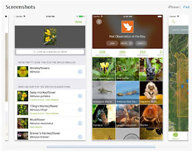 The iNaturalist app is available through the Apple app store or Google Play.