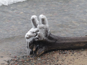 icy stump looks like peace sign