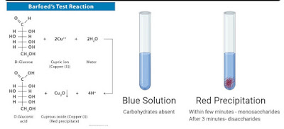 Barfoed test reaction