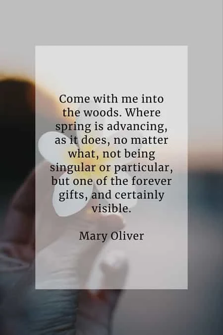 Quotes about spring that inspires warmth and renewal