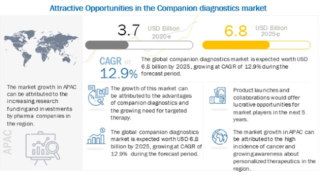 Companion Diagnostics Market