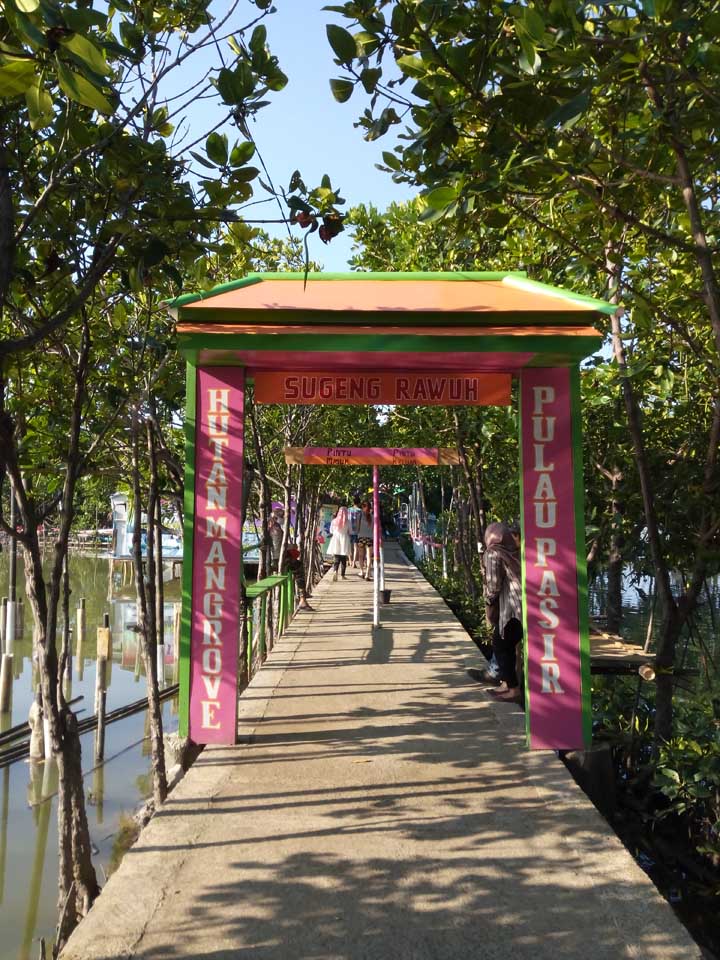 Jelajah Tempat Wisata Alam di Tracking Mangrove Kaliwlingi ...