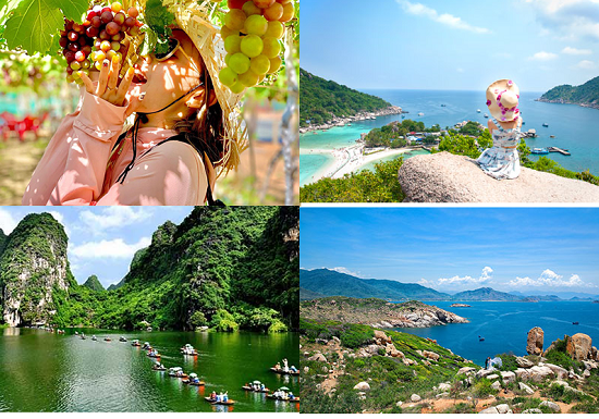 Tour du lịch trong nước mùa hè 2024 vô cùng đặc biệt mà Du Lịch Việt chuẩn bị