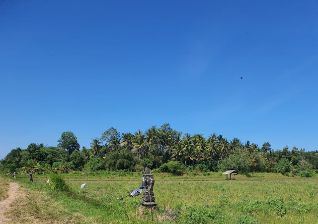 land for sale in bali