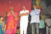 Rudramadevi warangal audio launch-thumbnail-30