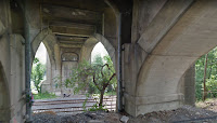 small tree in leaf growing along railroad tracks over which bridge passes