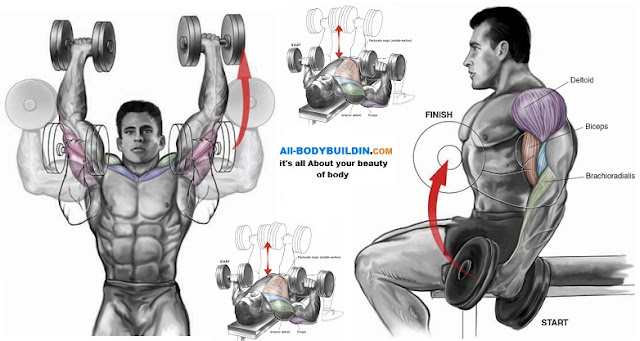 Upper Body Dumbbell Exercises