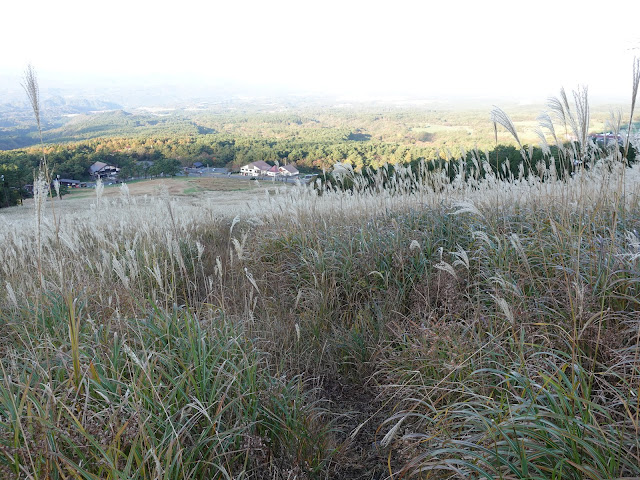 大山 桝水高原からの眺望