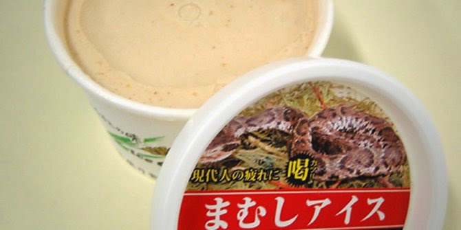Makanan Kemasan Dengan Rasa Paling Aneh Di Jepang