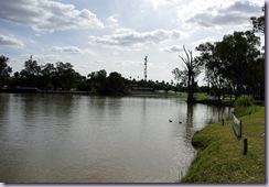 View across the Murray River to Mildura.  Taken from Buronga Riverside Caravan Park