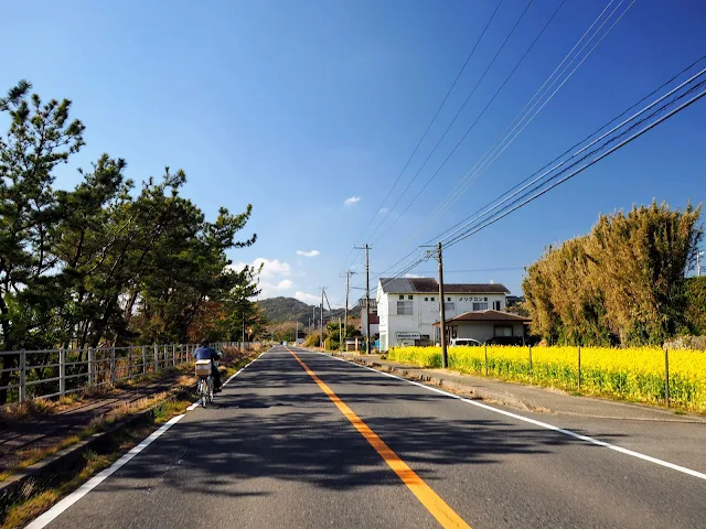 外房黒潮ライン　和田