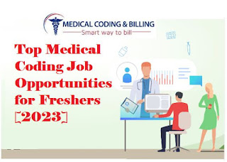 Top Medical Coding Job Opportunities for Freshers [2023]
