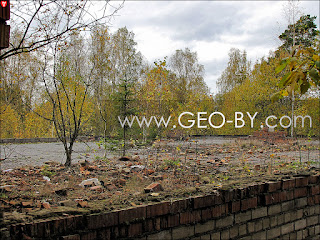 Trees on the roof of the sanatorium in Nowe Pole