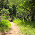 Tara! Abra: The Road Less Traveled to San Marcial Falls