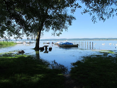 Hochwasser, Bodensee, Bodensee Forum, Triboltingen, Hochwasser Bodensee, Bodensee Forum, 2013, Bodenseeforum, Bodensee,