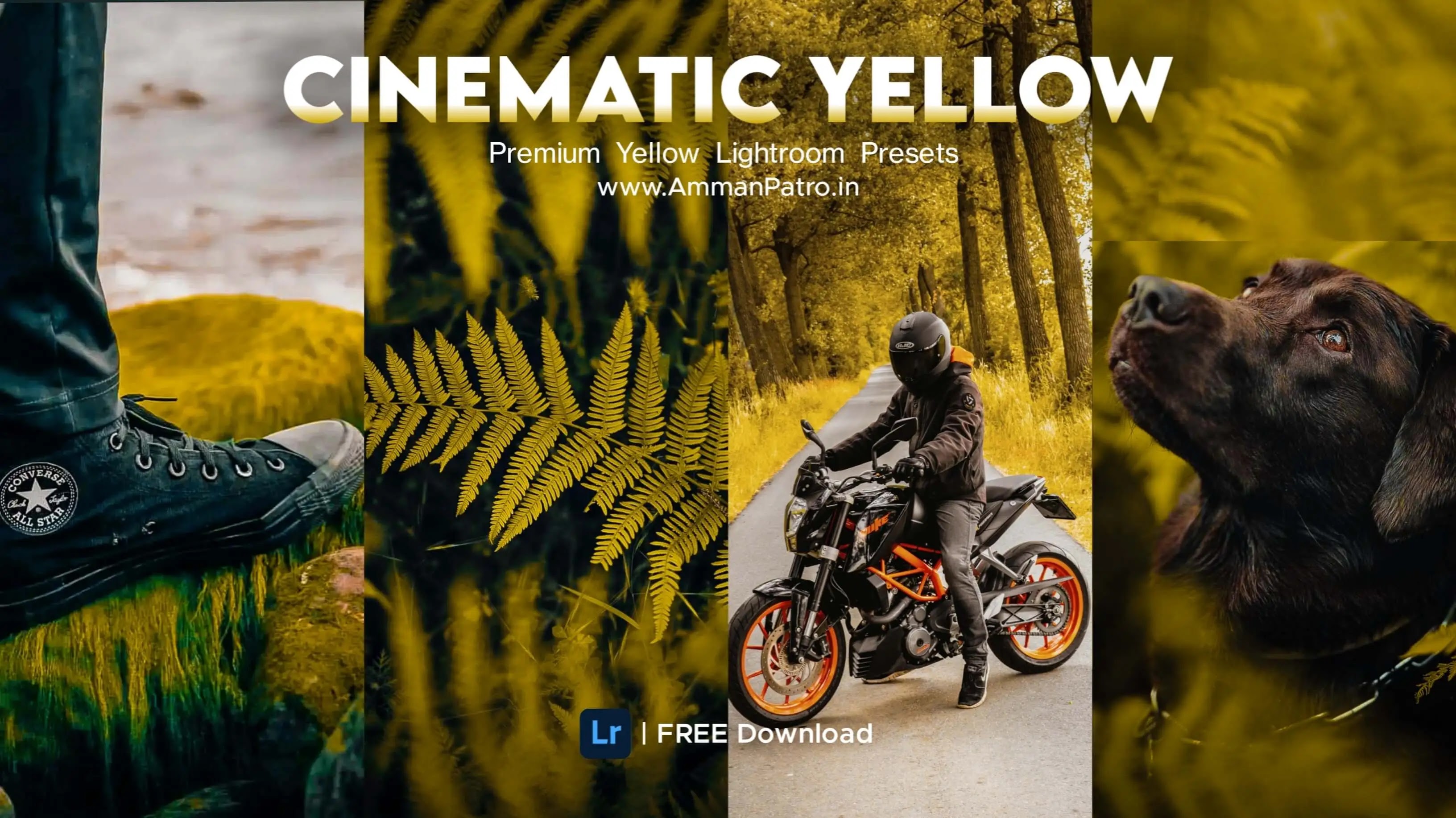 Cinematic Yellow Lightroom Presets FREE Download, Cinematic Yellow FREE Lightroom Presets, Free Lightroom Presets, Yellow Tone Lightroom Free Presets, Free Presets, Yellow Cinematic Presets, Amman Presets, Aman Free Lightroom Presets, Aman Presets